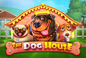 The Dog House — Pragmatic Play